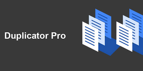 Duplicator-Pro