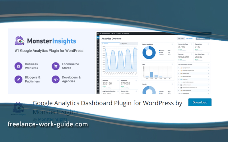 MonsterInsights